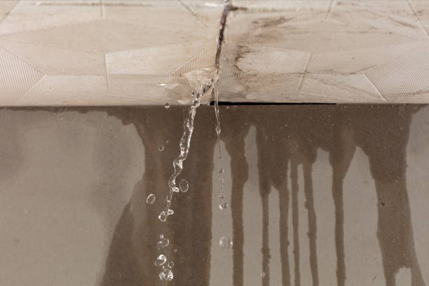 Professional Structural Drying technician working in Glandorf, OH